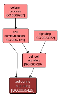 GO:0035425 - autocrine signaling (interactive image map)