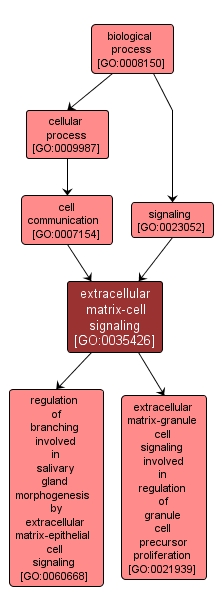 GO:0035426 - extracellular matrix-cell signaling (interactive image map)