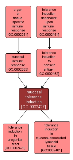 GO:0002427 - mucosal tolerance induction (interactive image map)