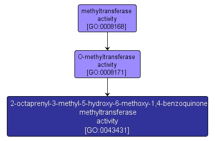 GO:0043431 - 2-octaprenyl-3-methyl-5-hydroxy-6-methoxy-1,4-benzoquinone methyltransferase activity (interactive image map)
