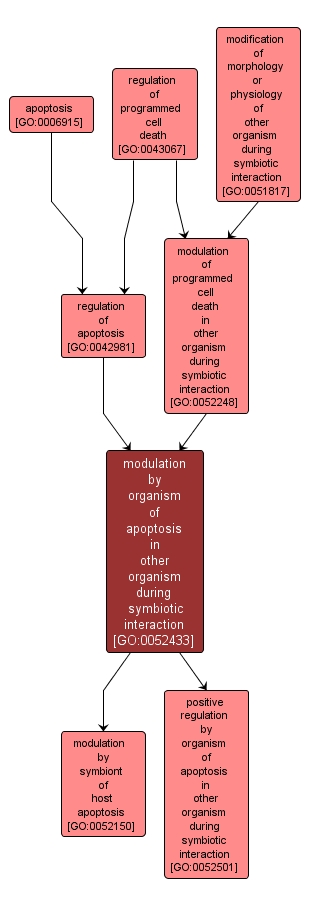 GO:0052433 - modulation by organism of apoptosis in other organism during symbiotic interaction (interactive image map)