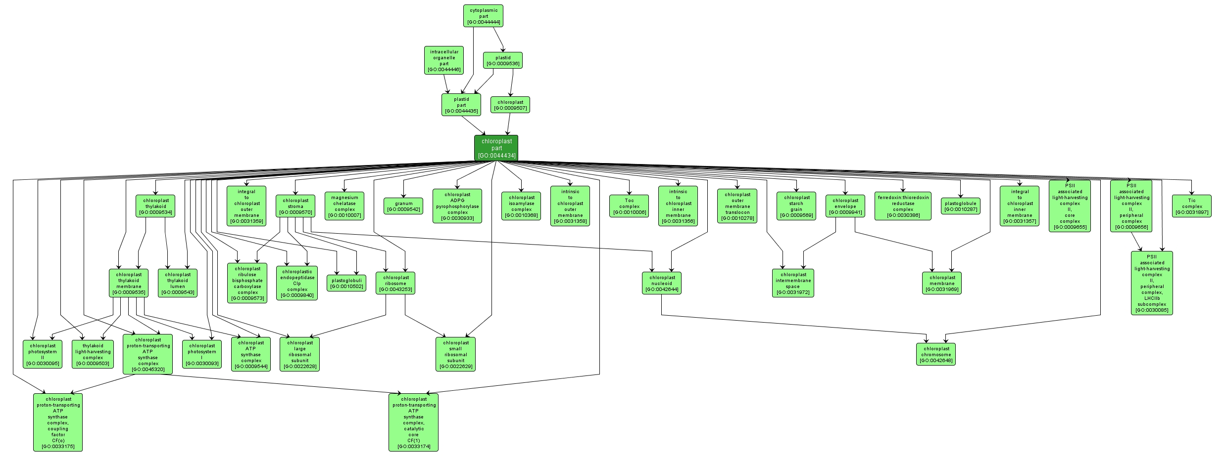 GO:0044434 - chloroplast part (interactive image map)