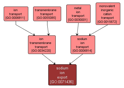 GO:0071436 - sodium ion export (interactive image map)