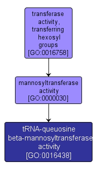 GO:0016438 - tRNA-queuosine beta-mannosyltransferase activity (interactive image map)