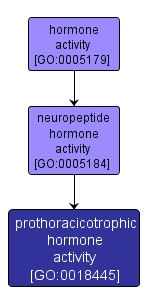 GO:0018445 - prothoracicotrophic hormone activity (interactive image map)