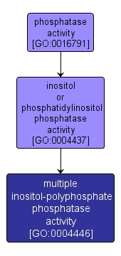 GO:0004446 - multiple inositol-polyphosphate phosphatase activity (interactive image map)