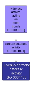 GO:0004453 - juvenile-hormone esterase activity (interactive image map)