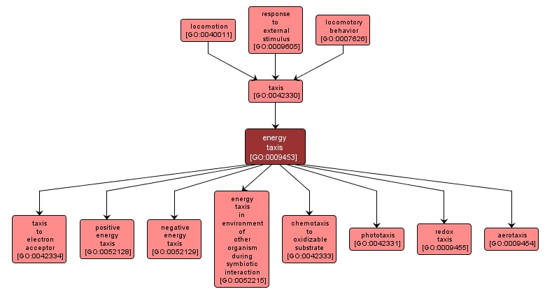 GO:0009453 - energy taxis (interactive image map)