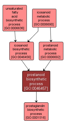 GO:0046457 - prostanoid biosynthetic process (interactive image map)