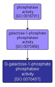 GO:0070457 - D-galactose-1-phosphate phosphatase activity (interactive image map)