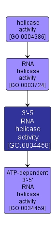 GO:0034458 - 3'-5' RNA helicase activity (interactive image map)