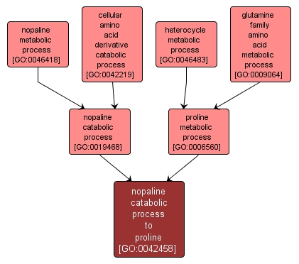 GO:0042458 - nopaline catabolic process to proline (interactive image map)