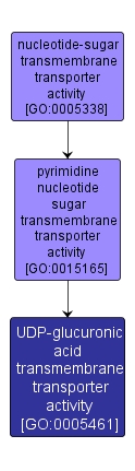 GO:0005461 - UDP-glucuronic acid transmembrane transporter activity (interactive image map)