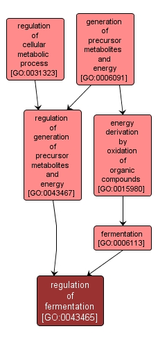 GO:0043465 - regulation of fermentation (interactive image map)