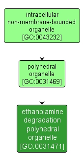 GO:0031471 - ethanolamine degradation polyhedral organelle (interactive image map)
