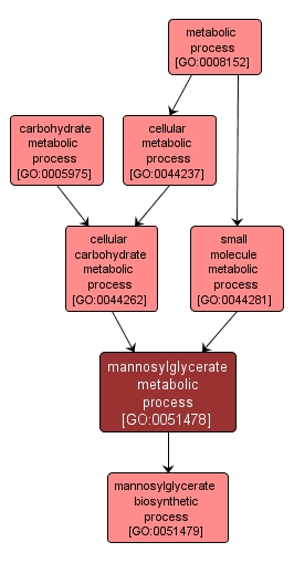 GO:0051478 - mannosylglycerate metabolic process (interactive image map)