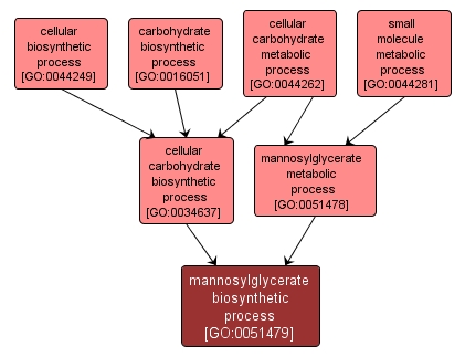 GO:0051479 - mannosylglycerate biosynthetic process (interactive image map)