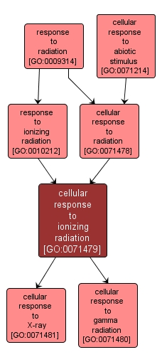 GO:0071479 - cellular response to ionizing radiation (interactive image map)