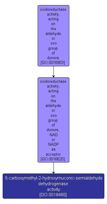 GO:0018480 - 5-carboxymethyl-2-hydroxymuconic-semialdehyde dehydrogenase activity (interactive image map)