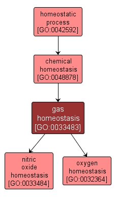 GO:0033483 - gas homeostasis (interactive image map)