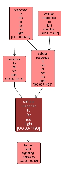 GO:0071490 - cellular response to far red light (interactive image map)