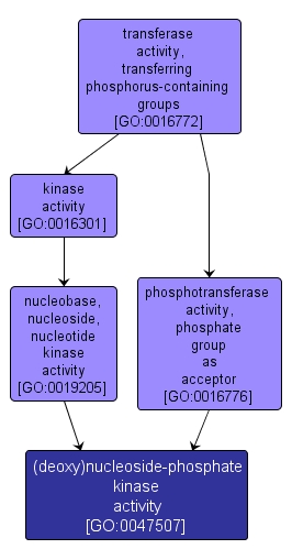 GO:0047507 - (deoxy)nucleoside-phosphate kinase activity (interactive image map)