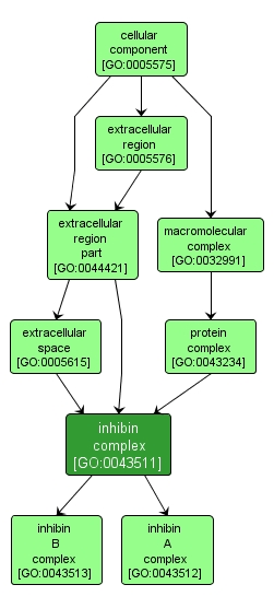GO:0043511 - inhibin complex (interactive image map)