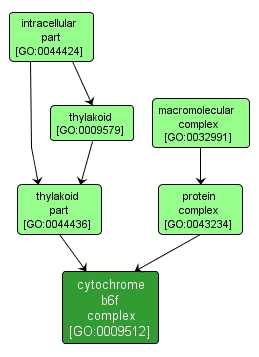 GO:0009512 - cytochrome b6f complex (interactive image map)