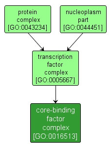 GO:0016513 - core-binding factor complex (interactive image map)