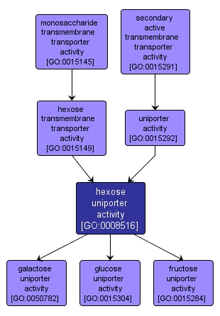 GO:0008516 - hexose uniporter activity (interactive image map)