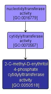 GO:0050518 - 2-C-methyl-D-erythritol 4-phosphate cytidylyltransferase activity (interactive image map)