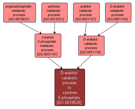 GO:0019528 - D-arabitol catabolic process to xylulose 5-phosphate (interactive image map)