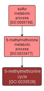 GO:0033528 - S-methylmethionine cycle (interactive image map)