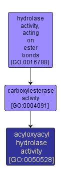 GO:0050528 - acyloxyacyl hydrolase activity (interactive image map)