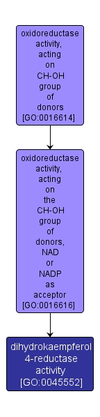 GO:0045552 - dihydrokaempferol 4-reductase activity (interactive image map)