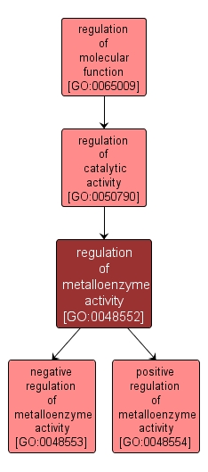 GO:0048552 - regulation of metalloenzyme activity (interactive image map)