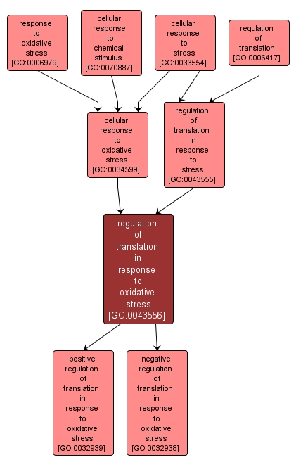 GO:0043556 - regulation of translation in response to oxidative stress (interactive image map)