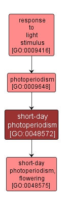 GO:0048572 - short-day photoperiodism (interactive image map)