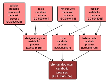 GO:0045574 - sterigmatocystin catabolic process (interactive image map)