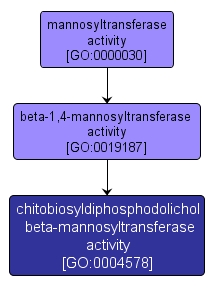 GO:0004578 - chitobiosyldiphosphodolichol beta-mannosyltransferase activity (interactive image map)