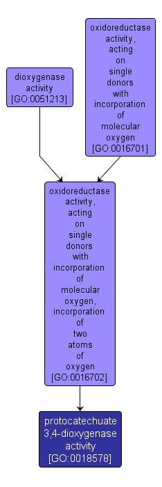 GO:0018578 - protocatechuate 3,4-dioxygenase activity (interactive image map)