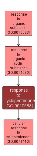 GO:0010583 - response to cyclopentenone (interactive image map)