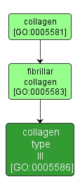 GO:0005586 - collagen type III (interactive image map)