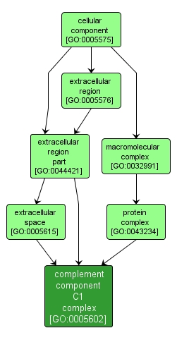 GO:0005602 - complement component C1 complex (interactive image map)