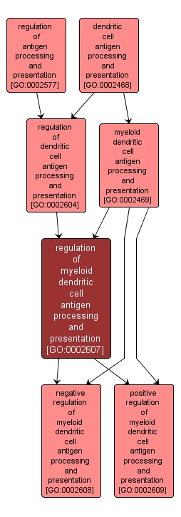 GO:0002607 - regulation of myeloid dendritic cell antigen processing and presentation (interactive image map)