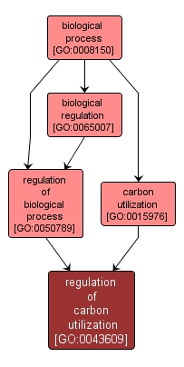 GO:0043609 - regulation of carbon utilization (interactive image map)