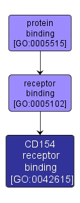 GO:0042615 - CD154 receptor binding (interactive image map)