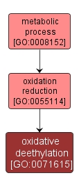 GO:0071615 - oxidative deethylation (interactive image map)