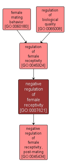 GO:0007621 - negative regulation of female receptivity (interactive image map)