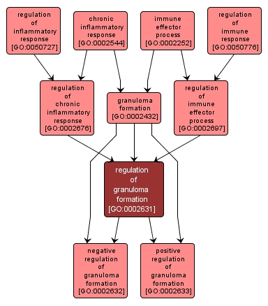 GO:0002631 - regulation of granuloma formation (interactive image map)